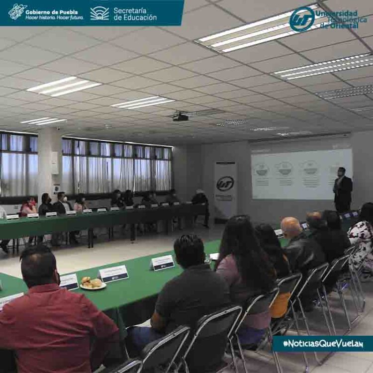 Con el programa “Territorio de los Azores” se reactiva el sector ...